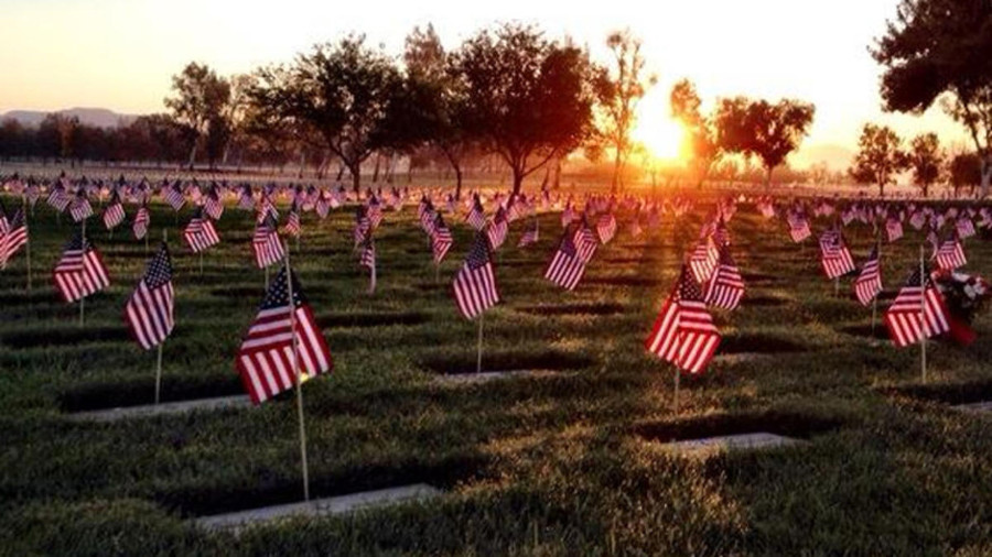 veterans day flags